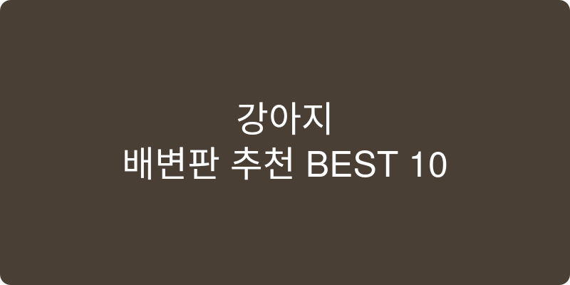 강아지 배변판 추천 이미지