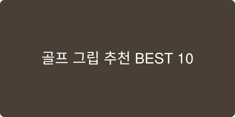 골프 그립 추천 이미지