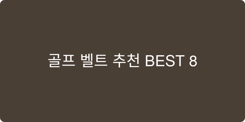 골프 벨트 추천 이미지