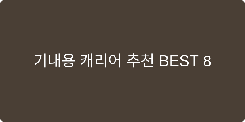 기내용 캐리어 추천 이미지