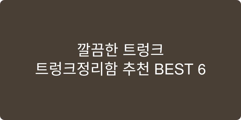 트렁크정리함 추천 이미지