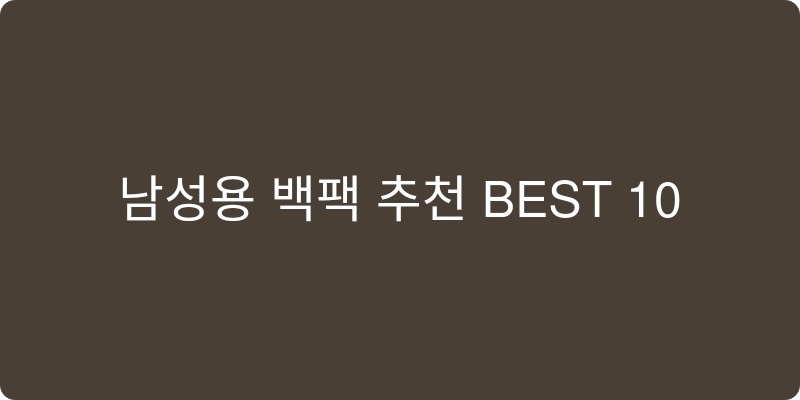 남성용 백팩 추천 이미지
