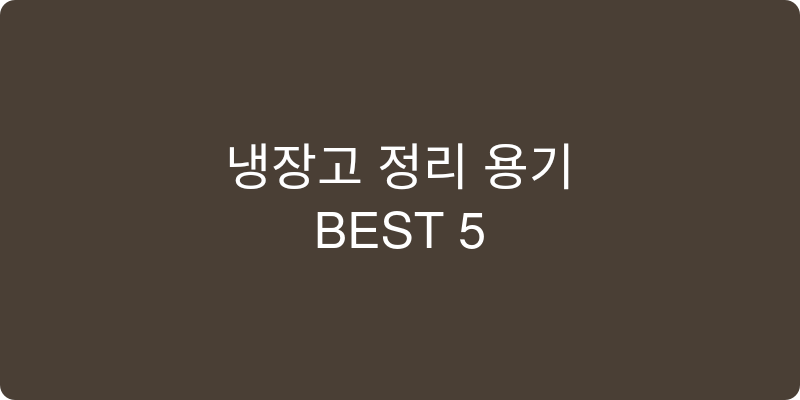 냉장고 정리 용기 추천 이미지