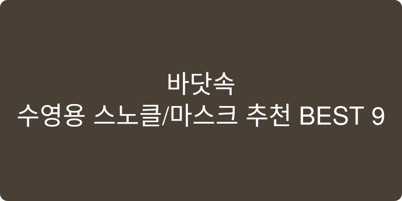 수영용 스노클/마스크 추천 이미지