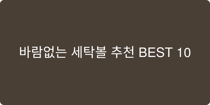 세탁볼 추천 이미지