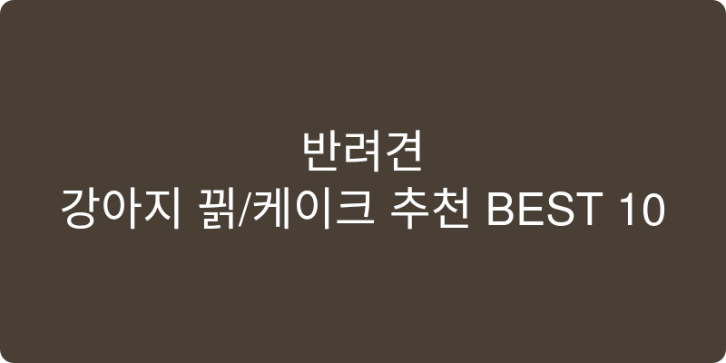 강아지 빵/케이크 추천 이미지