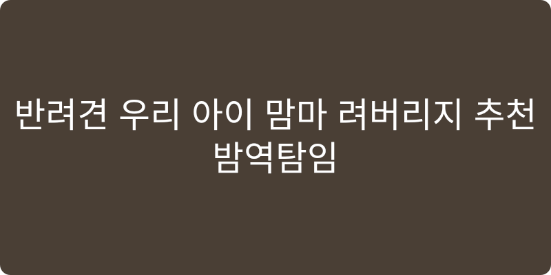 강아지 칫솔 추천 이미지