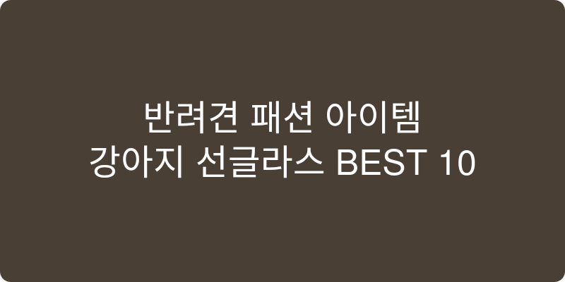 반려동물 선글라스 추천 이미지