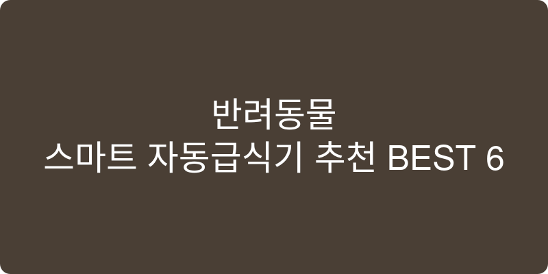 반려동물 자동급식기 추천 이미지