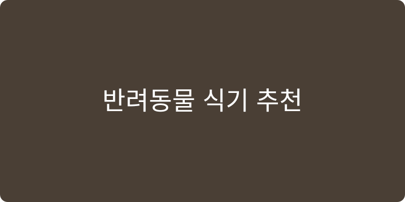 반려동물 식기/식탁 추천 이미지