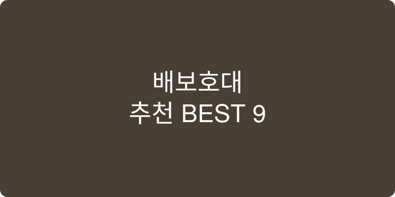 배보호대 추천 이미지