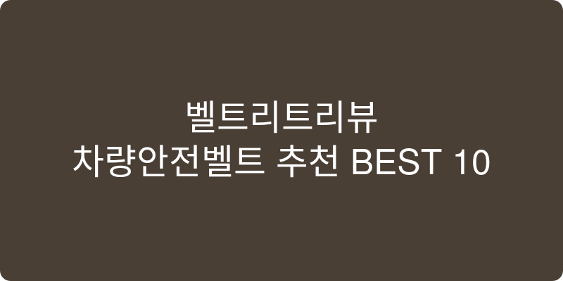 차량안전벨트 추천 이미지