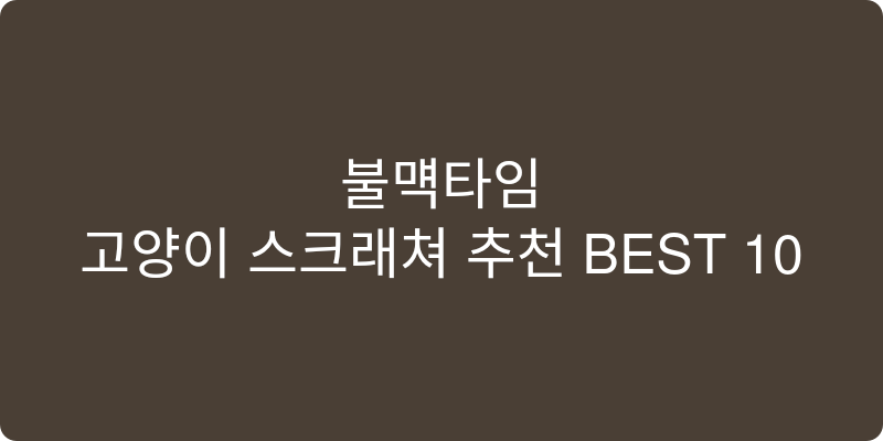 고양이 스크래쳐 추천 이미지