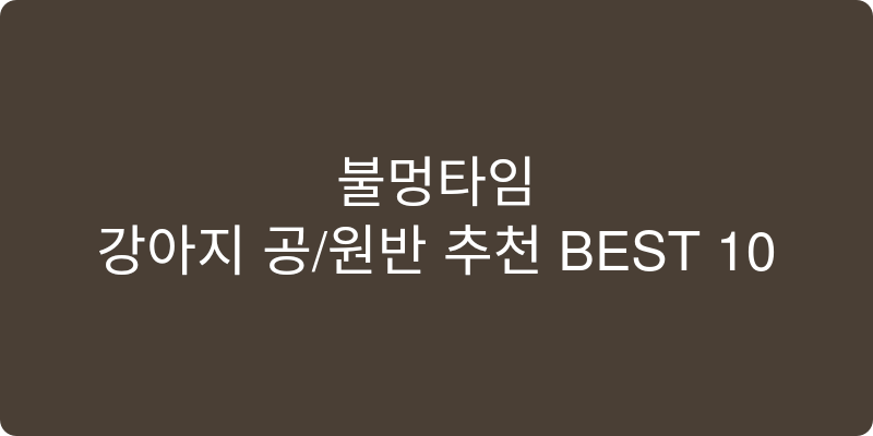 강아지 공/원반 추천 이미지