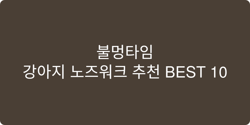 강아지 노즈워크 추천 이미지