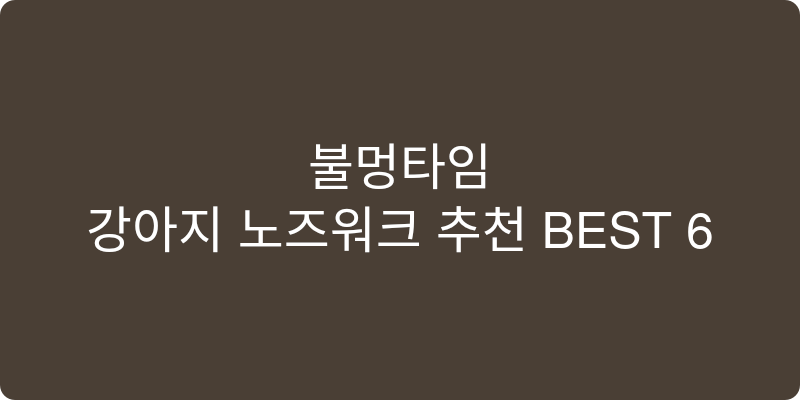 강아지 노즈워크 추천 이미지