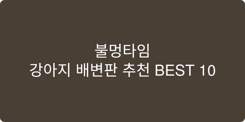 강아지 배변판 추천 이미지