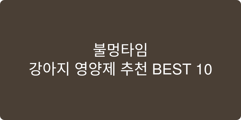강아지 영양제 추천 이미지