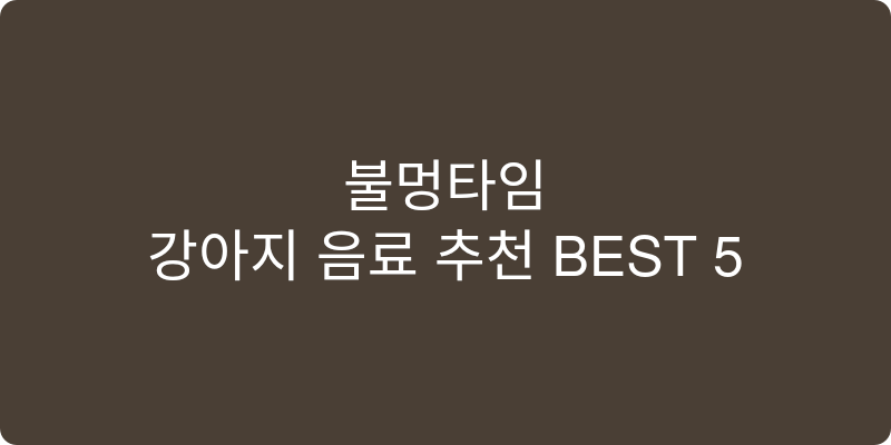 강아지 음료 추천 이미지