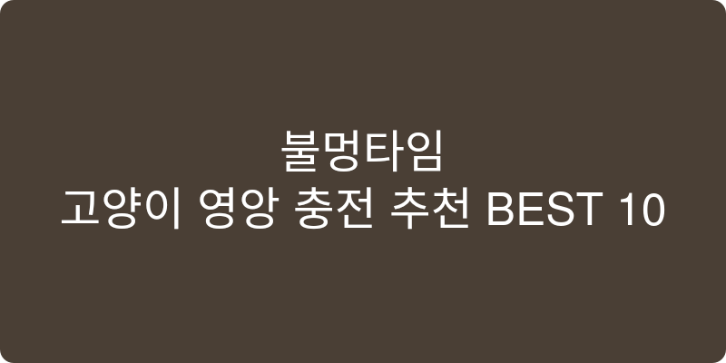 고양이 음료 추천 이미지