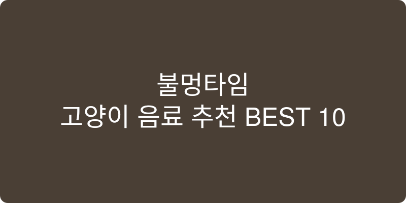 고양이 음료 추천 이미지