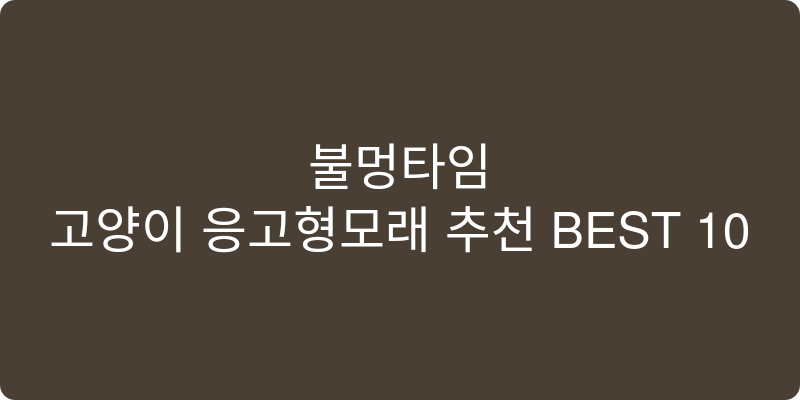 고양이 응고형모래 추천 이미지