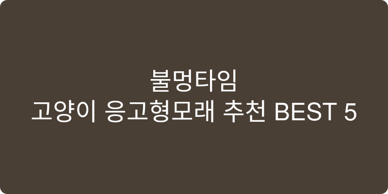 고양이 응고형모래 추천 이미지