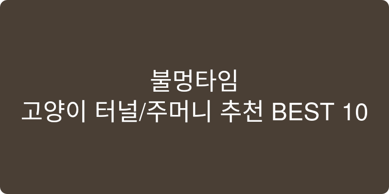 고양이 터널/주머니 추천 이미지