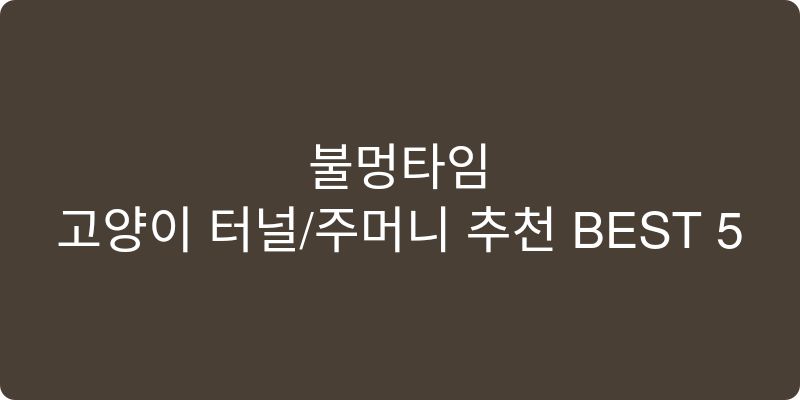 고양이 터널/주머니 추천 이미지