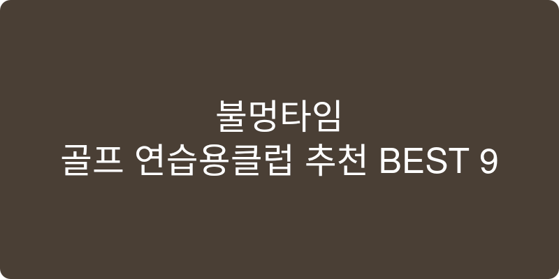 골프 연습용클럽 추천 이미지