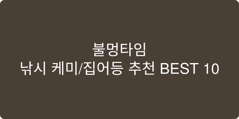 낚시 케미/집어등 추천 이미지