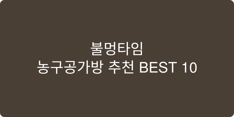 농구공가방 추천 이미지