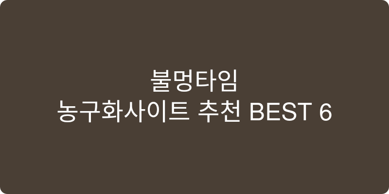 농구화사이트 추천 이미지