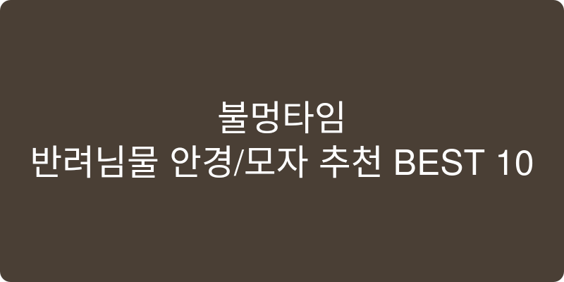 반려동물 안경/모자 추천 이미지