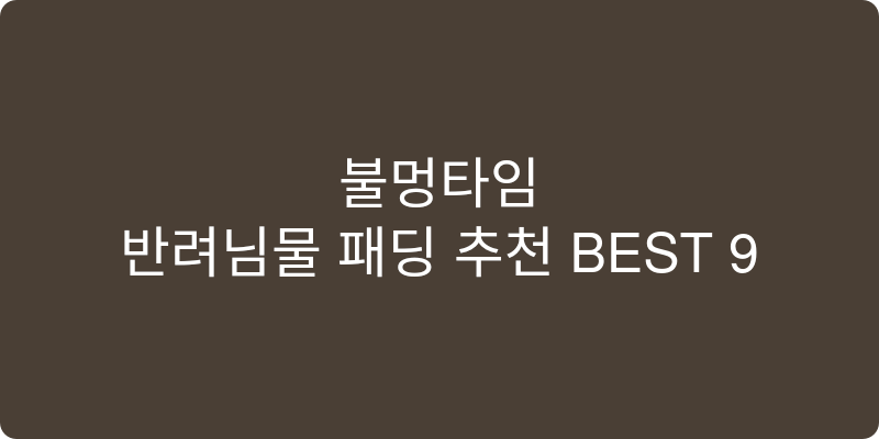 반려동물 패딩 추천 이미지