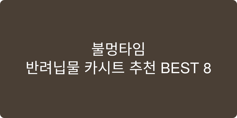 반려동물 카시트 추천 이미지