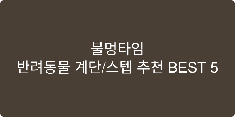 반려동물 계단/스텝 추천 이미지