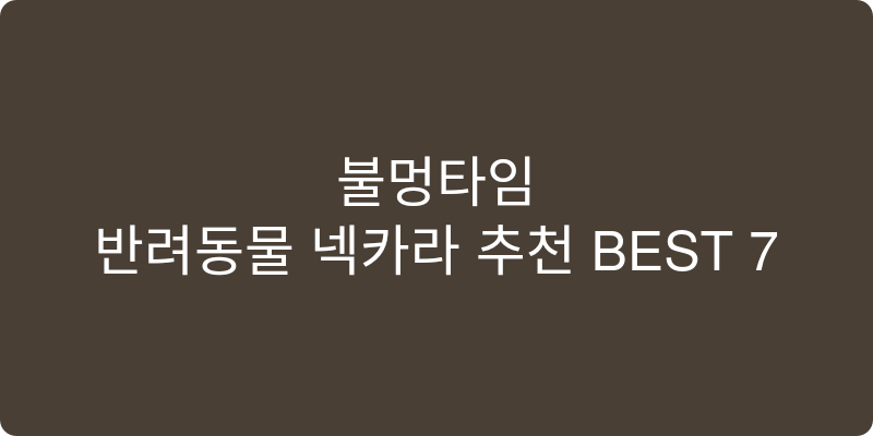 반려동물 넥카라 추천 이미지