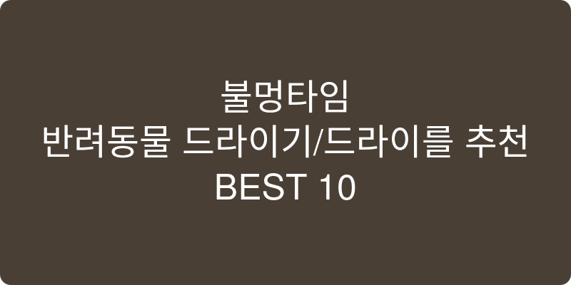 반려동물 드라이기/드라이룸 추천 이미지