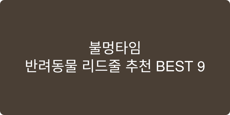 반려동물 리드줄 추천 이미지