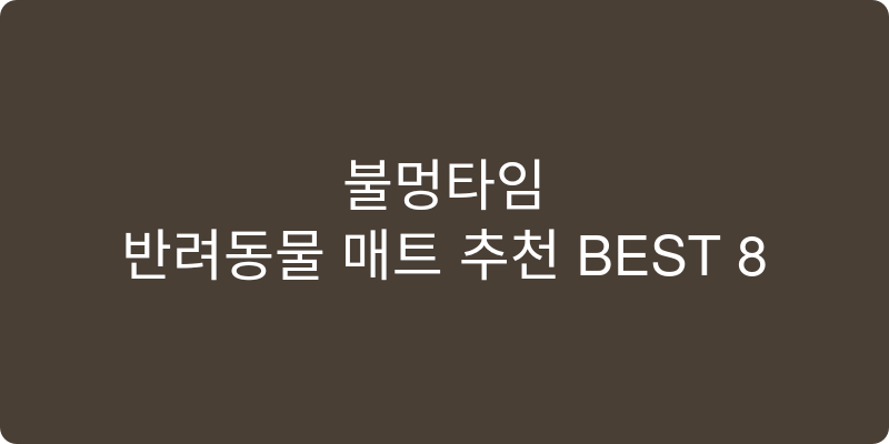 반려동물 매트 추천 이미지