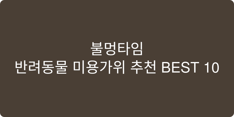 반려동물 미용가위 추천 이미지