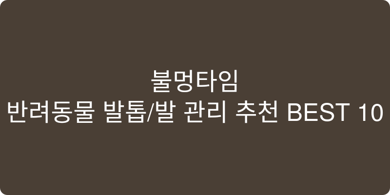 반려동물 발톱/발 관리 추천 이미지