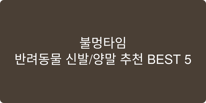 반려동물 신발/양말 추천 이미지