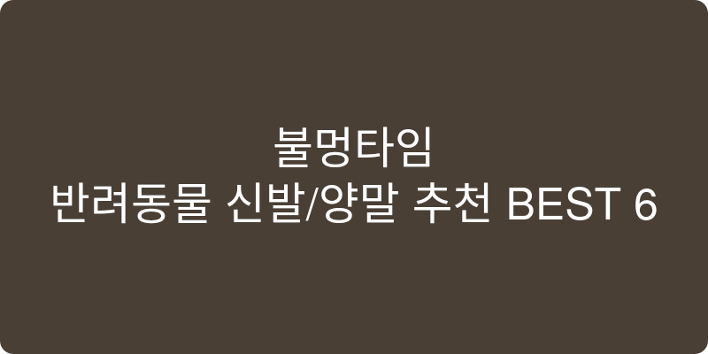 반려동물 신발/양말 추천 이미지