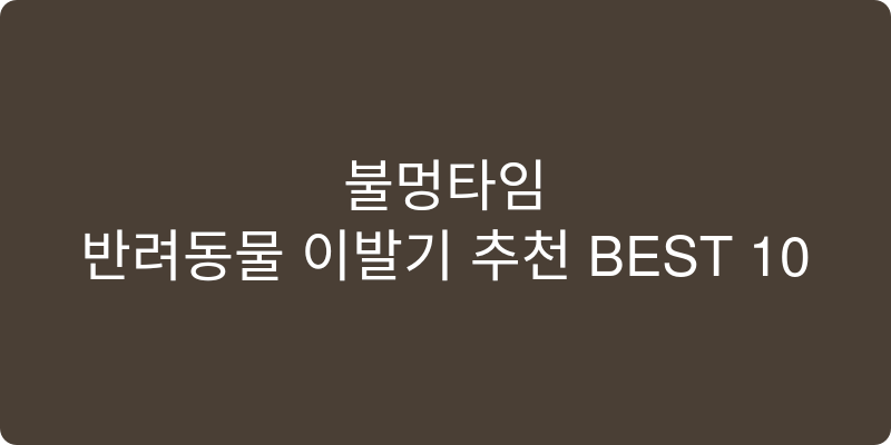 반려동물 이발기 추천 이미지