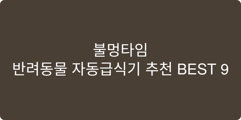 반려동물 자동급식기 추천 이미지