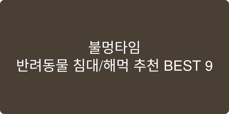 반려동물 침대/해먹 추천 이미지