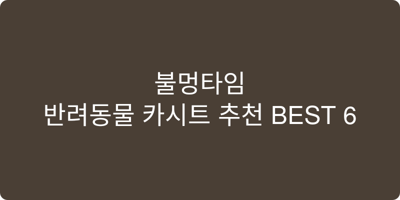 반려동물 카시트 추천 이미지