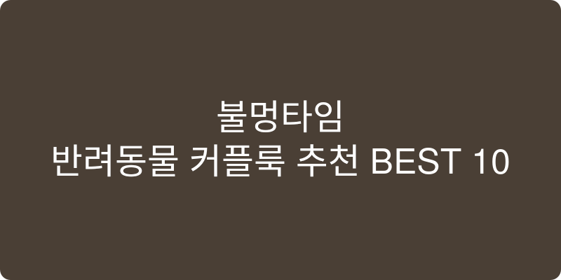 반려동물 커플룩 추천 이미지